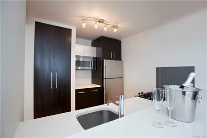 1311 Jackson Avenue 6C, Long Island City, NY 11101