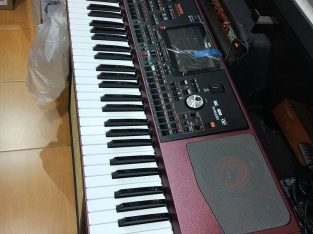 Korg Pa1000 Keyboard in California Los Angeles