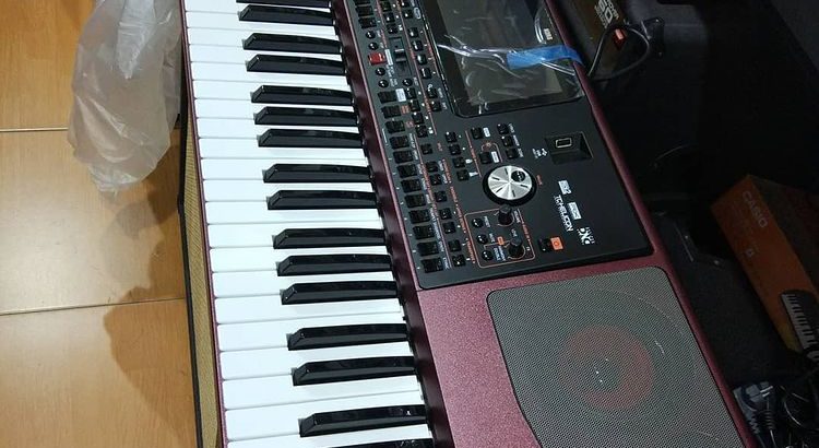 Korg Pa1000 Keyboard in California Los Angeles