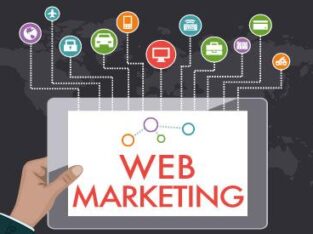 WEB MARKETING COMPANY IN DALLAS TX