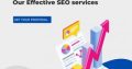 Best SEO Company Dallas USA