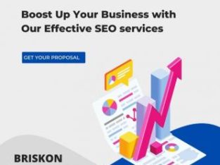 Best SEO Company Dallas USA