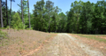 Land For Sale in Georgia