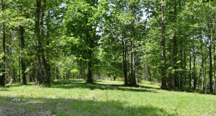 Land For Sale in Georgia