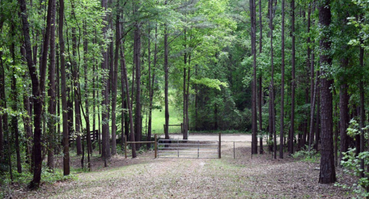 Land For Sale in Georgia