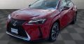 Lexus UX 250h Base Car For Sale