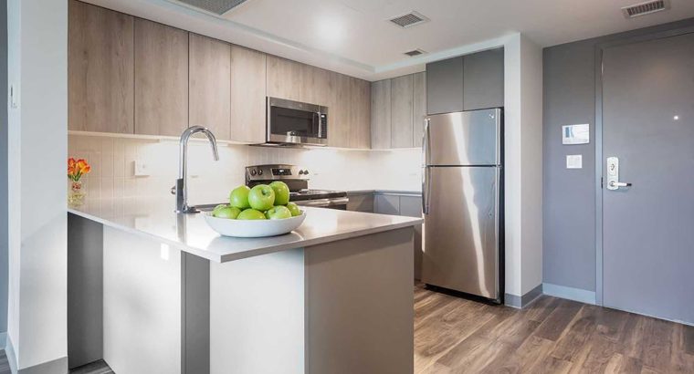2 BR & 2 Bathrooms Residential Rent in Boston