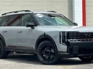 Kia Telluride Car for Sale
