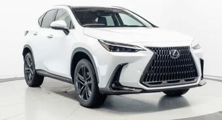 Lexus NX Car for Sale