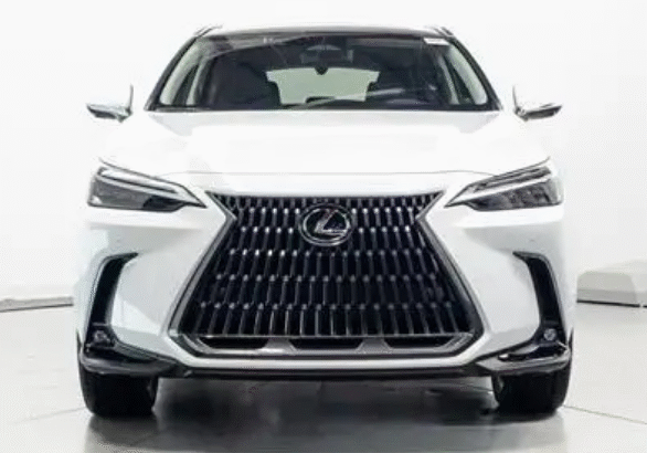 Lexus NX Car for Sale