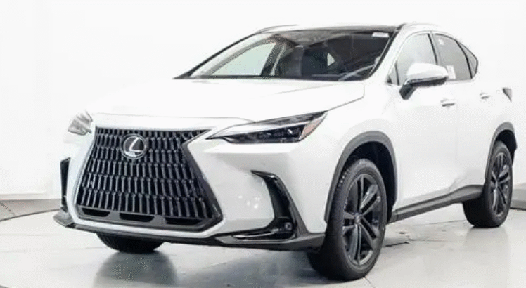 Lexus NX Car for Sale