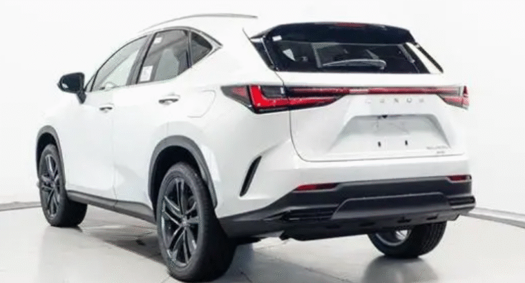 Lexus NX Car for Sale